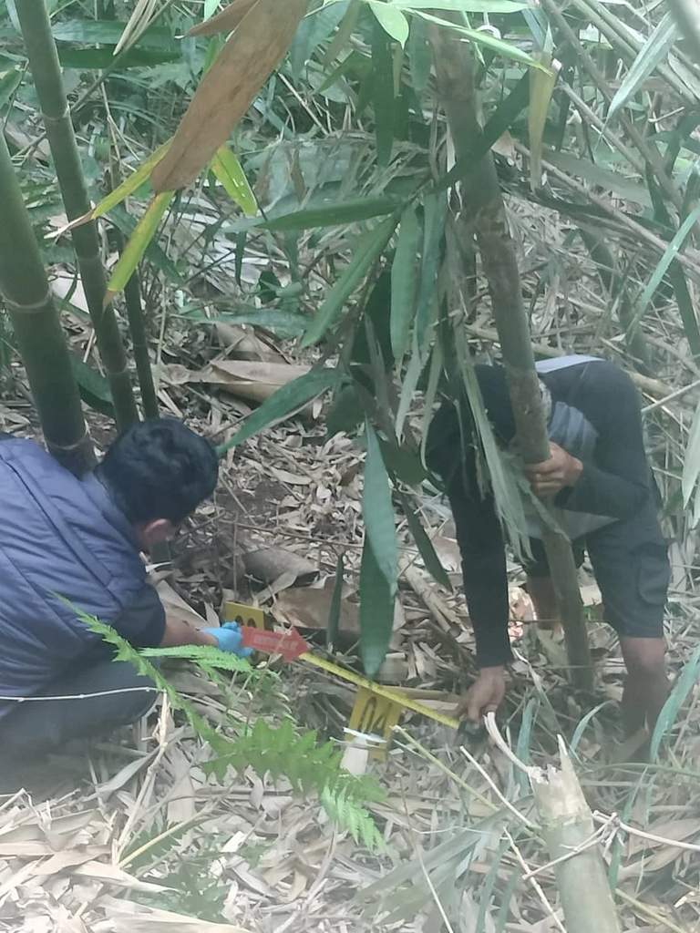 Ilustrasi garis kepolisian atau olah tempat kejadian perkara terkait kasus kecelakaan senapan angin di area perkebunan.