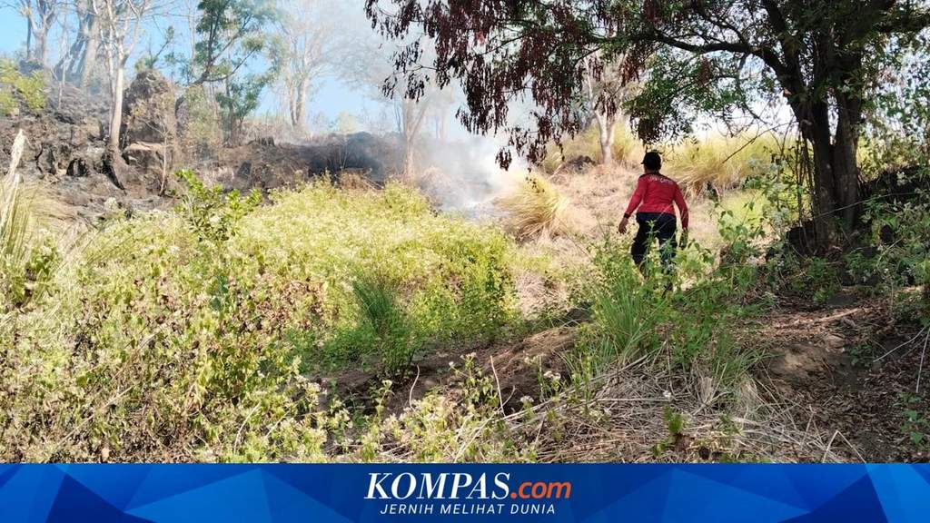Kepulan asap hitam dan kobaran api melahap area lahan kering di wilayah Kecamatan Kubu, Kabupaten Karangasem, Bali.