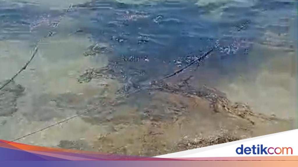 Petugas gabungan dan warga membersihkan tumpahan oli hitam yang mencemari kawasan pesisir pantai di Perairan Pulau Semau, Kabupaten Kupang.
