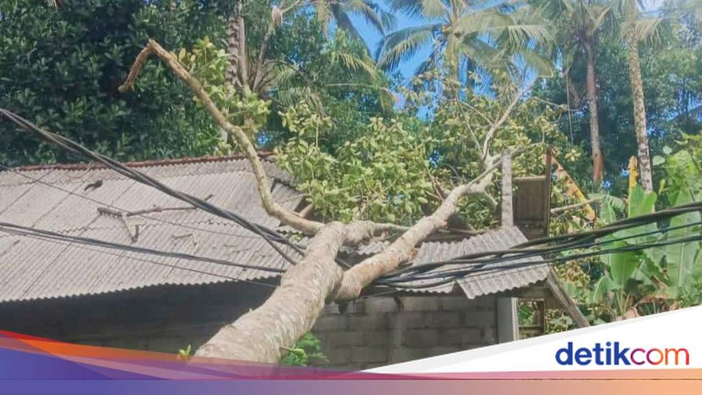 Kondisi rumah warga di Banjar Dinas Bau Kaler yang mengalami kerusakan parah di bagian atap akibat tertimpa pohon nangka tumbang di Karangasem.
