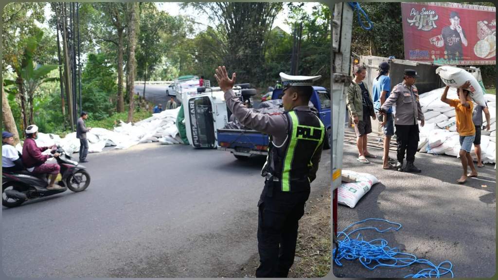 Sebuah truk bermuatan karung pakan ternak terguling di sisi jalan kawasan Bangli dengan kondisi muatan berserakan di sekitar lokasi kejadian.